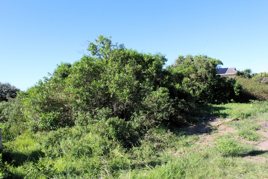 0 Bedroom Property for Sale in Forest Downs Eastern Cape